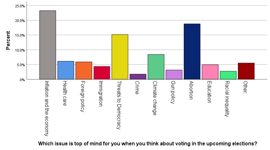 A bar chart with various issues people consider important to them.