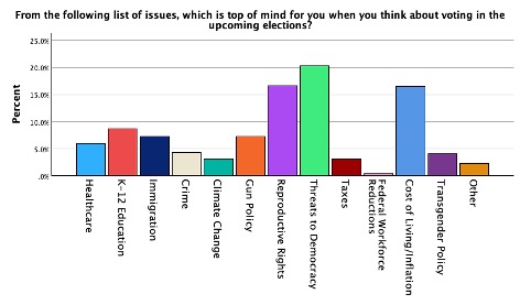 A chart with various issues that CNU students are thinking about when voting.