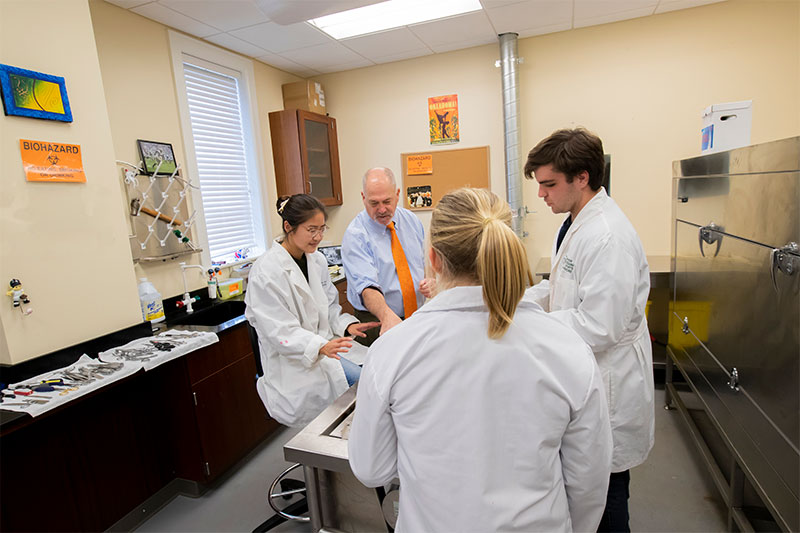 Dr. Keith Lustig and Students Work With a Cadaver in the Human Anatomy Lab