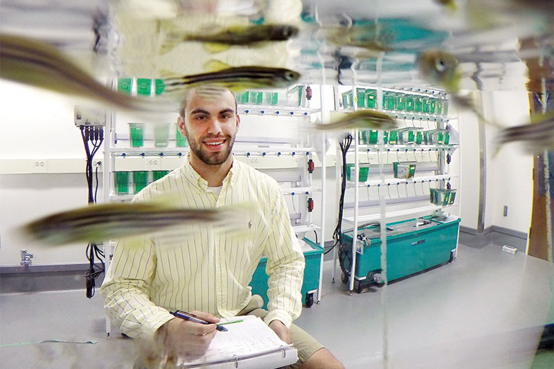 A student researcher works in the fish lab