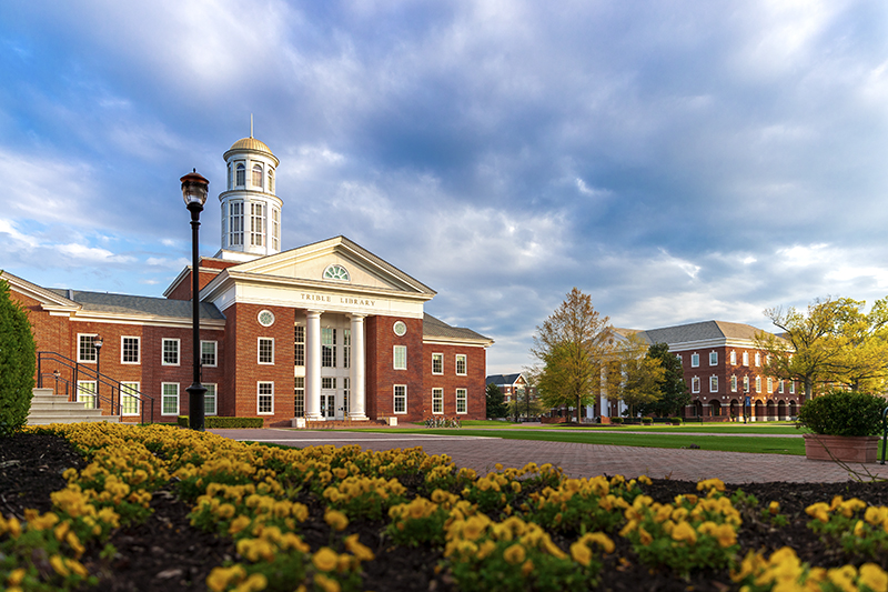 The Trible Library