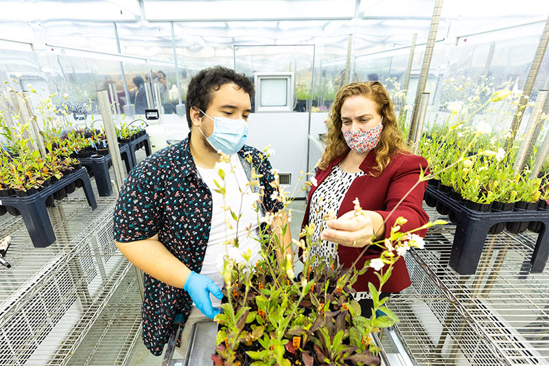 Lucas Sharrett (left), with Dr. Janet Steven in CNU's botany lab