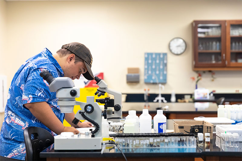 A student works in the biology lab