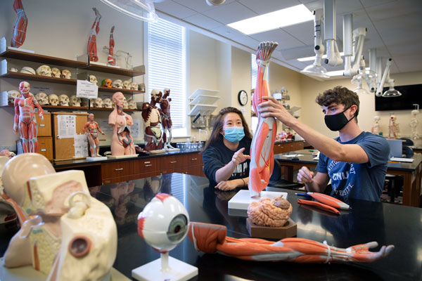 Students working in Christopher Newport's anatomy and physiology lab