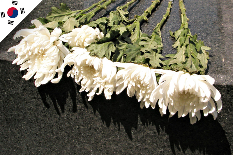 A south Korean flag fills the top left corner. The main image contains white Chrysanthemums laying on top of a black stone.