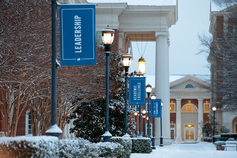 photo of the Great Lawn light post leadership banner in the snow