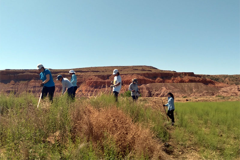 Students work in a field with reddish-brown mesas in the background.