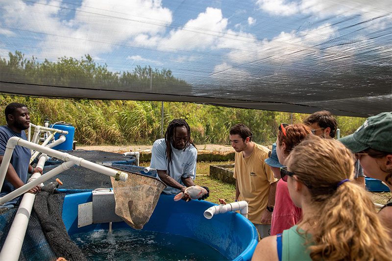 Students look on as a man holds a fish outside of a tank at the Bahamas Agricultural and Marine Science Institute. 