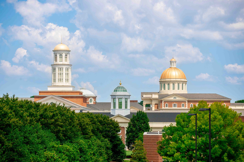 Three cupolas appear above green trees with a blue sky in the background.