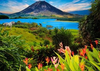 View of a tall mountain, tropical flowers and a lake.