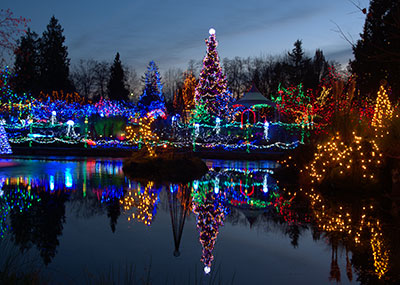 A botanical garden illuminated in holiday lights