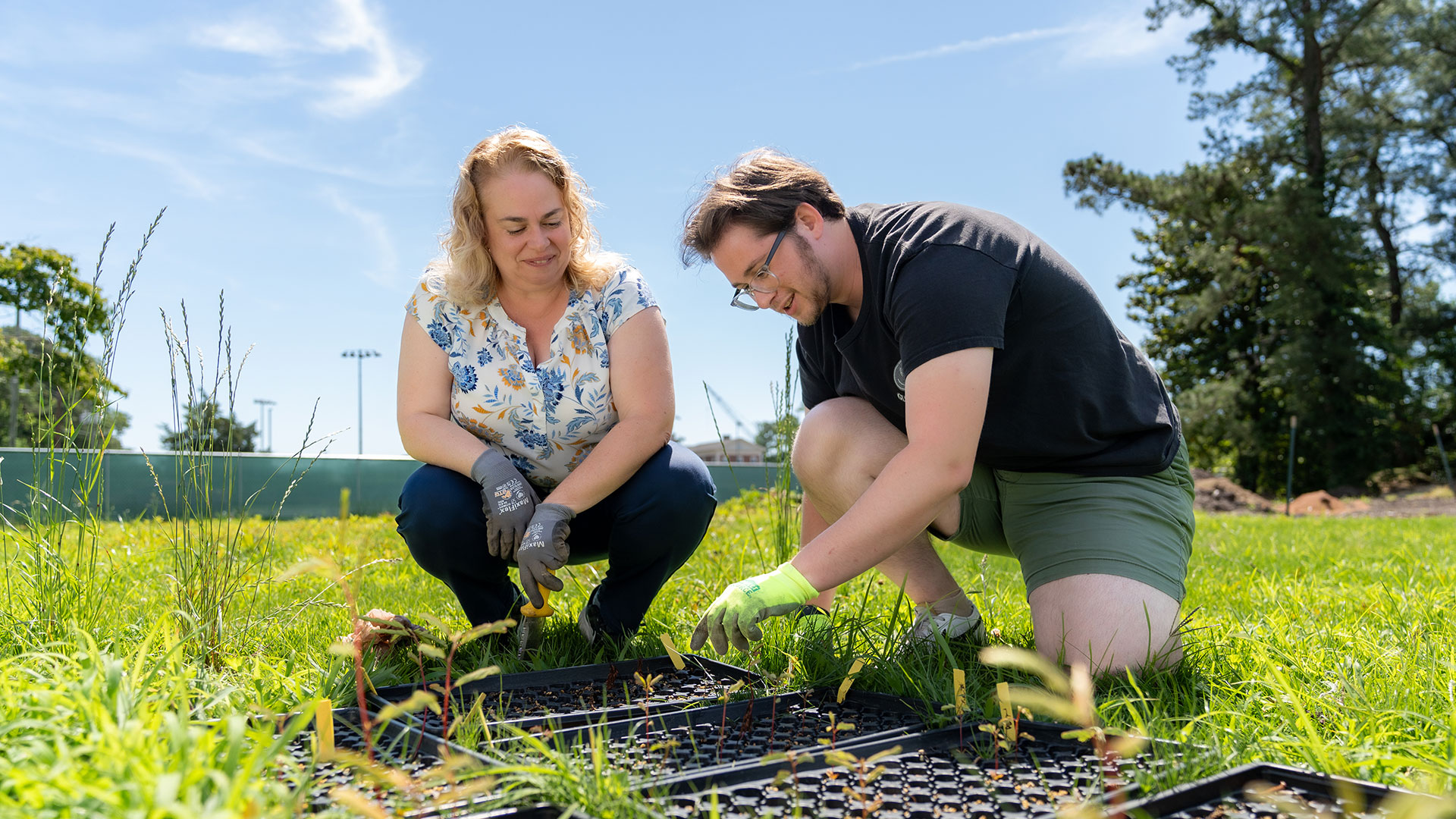  Two people, a woman and a man, squat outdoors examining a tray of small plant seedlings in a grassy area on a sunny day.