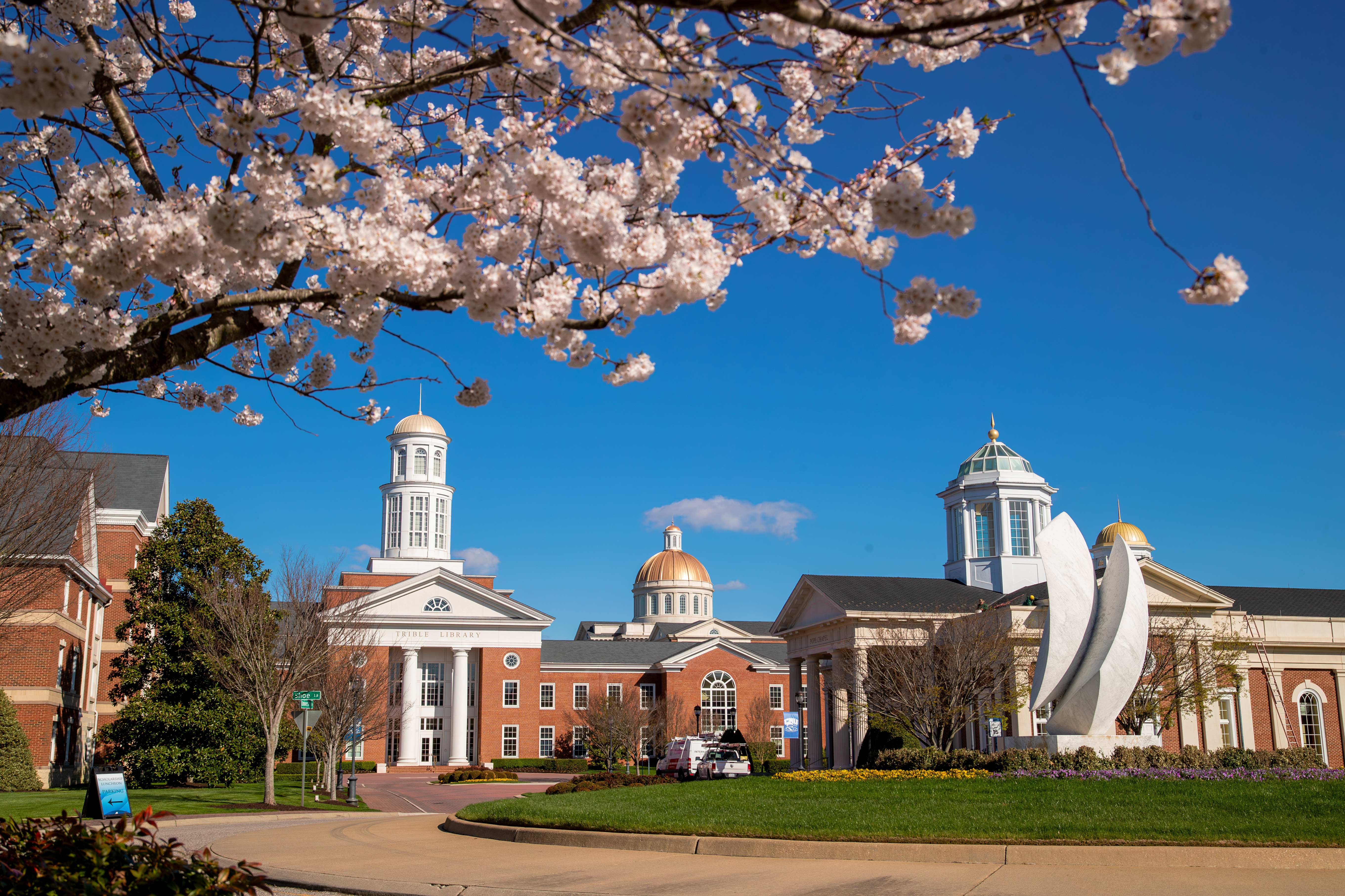 Transfer students walk beside the Great Lawn