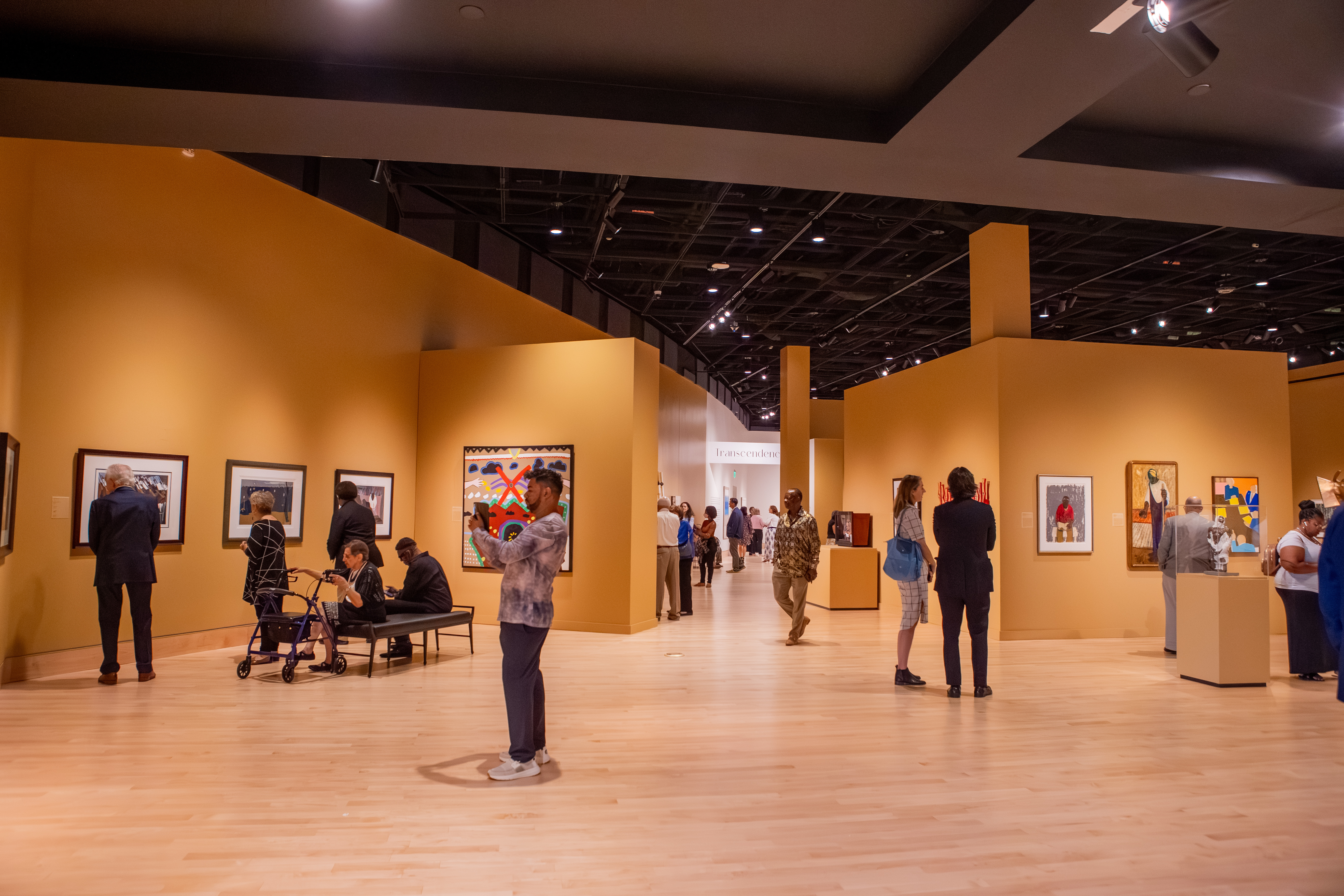 people standing and admiring art