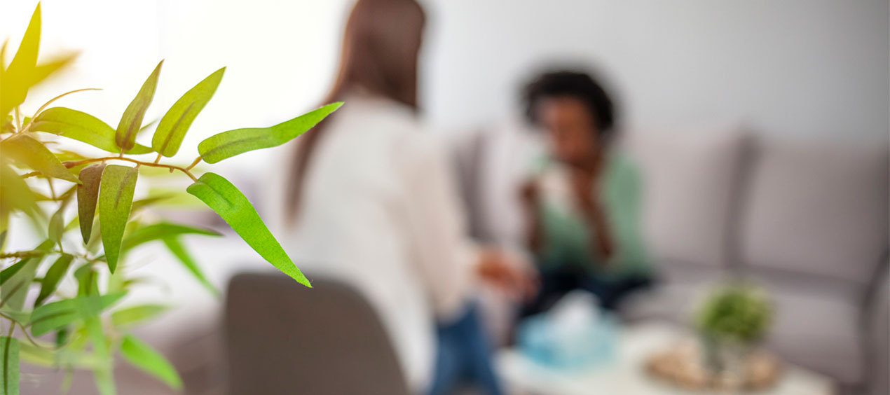 A blurred, out-of-focus view of a counseling session, with a green leafy plant in focus in the foreground on the left.