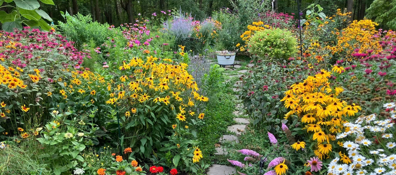 Flower garden with stone walking path