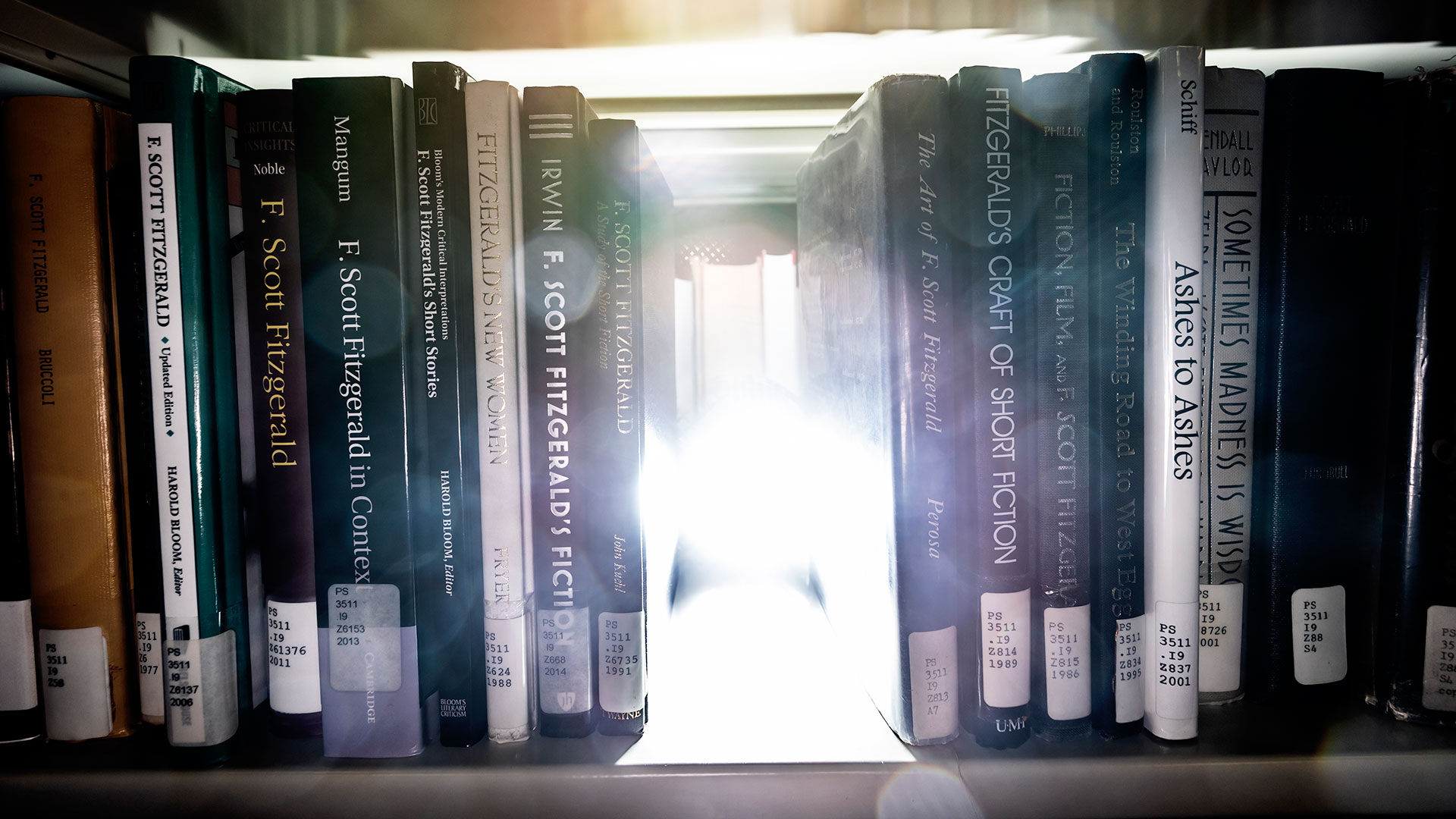 Library books on a shelf