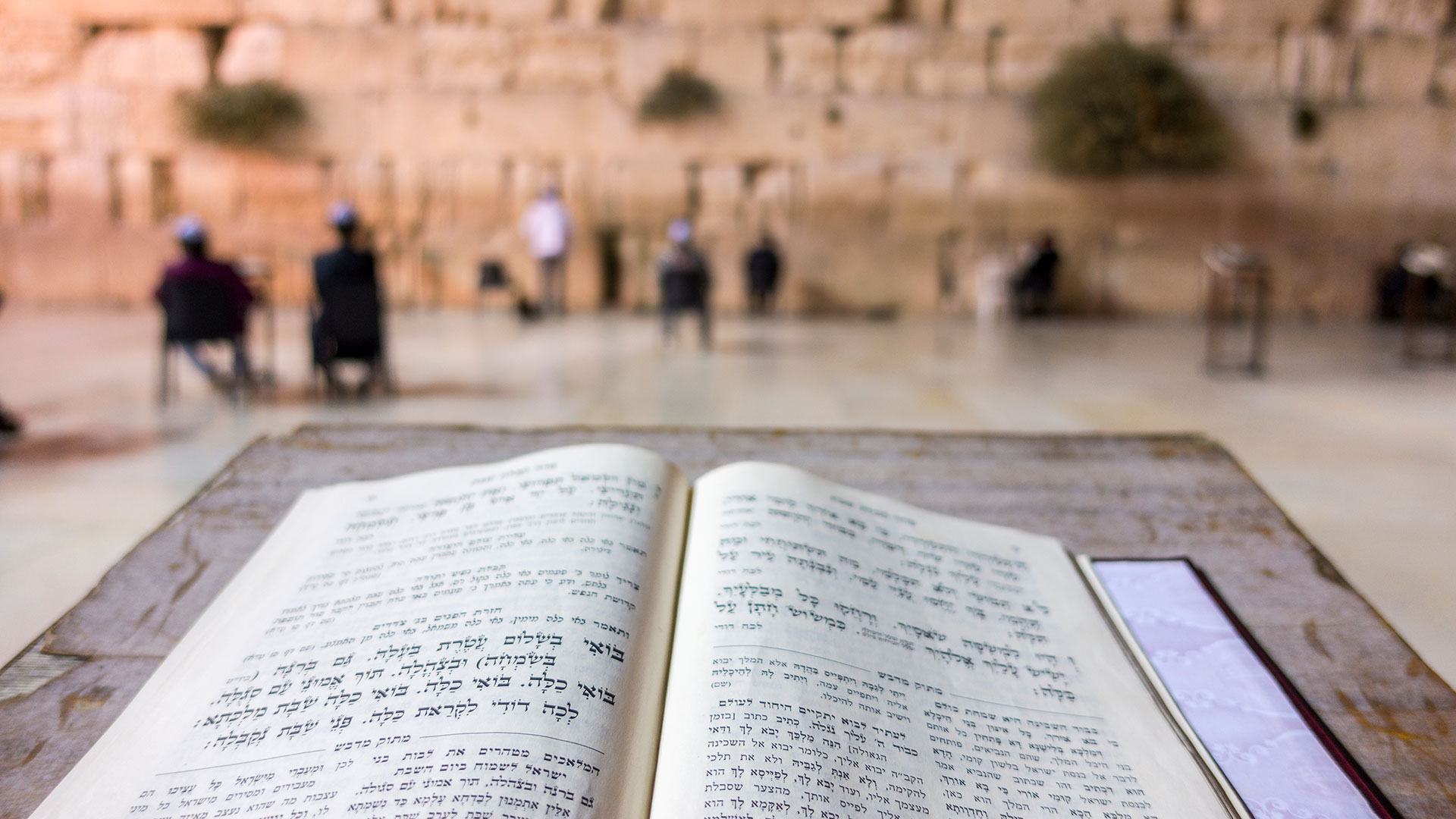 Open Torah in front of the Western Wall of Jerusalem