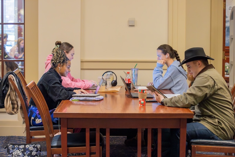 students studying in the library