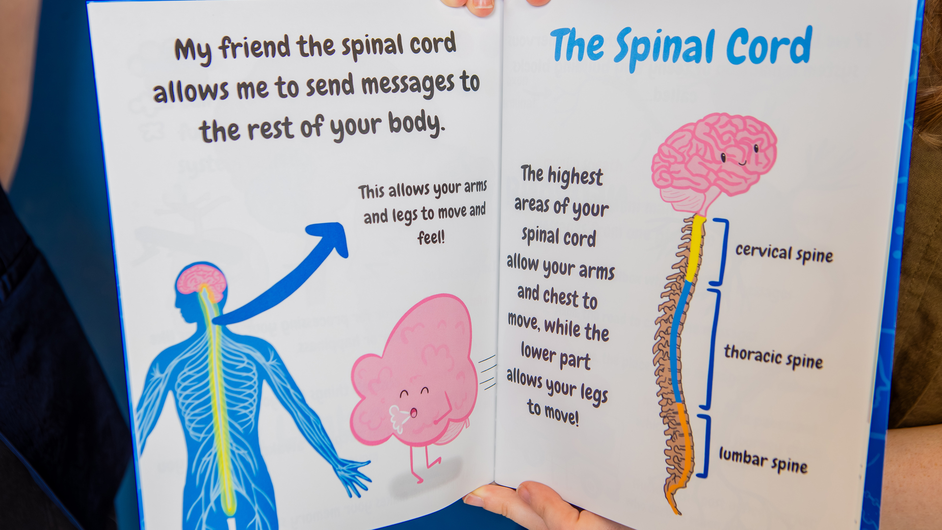 Inside view of a book that talks about the spinal cord.