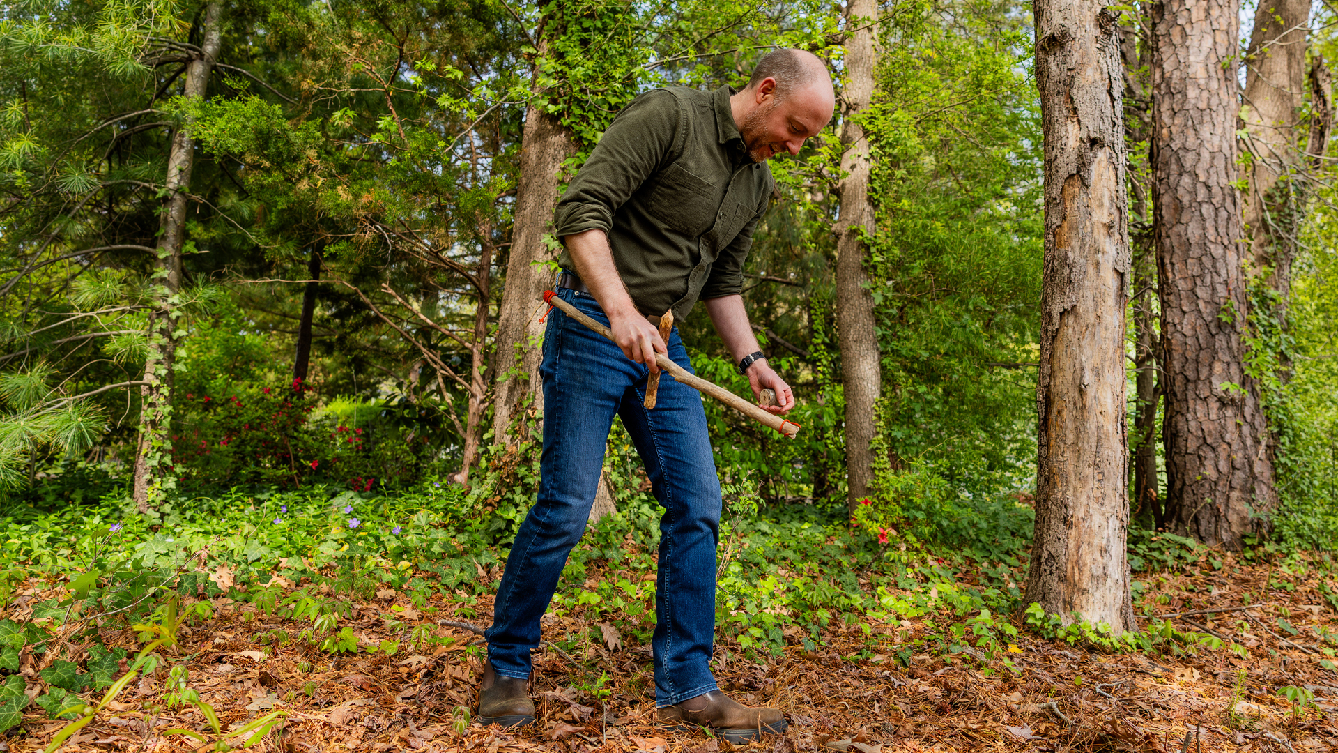 A professor holds a stick in the woods.