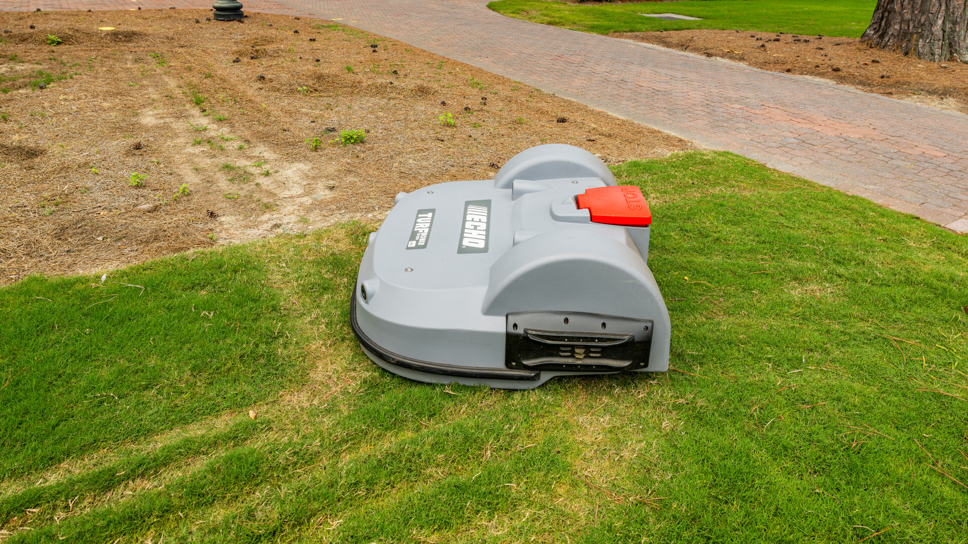 An electronic mower mows grass on campus