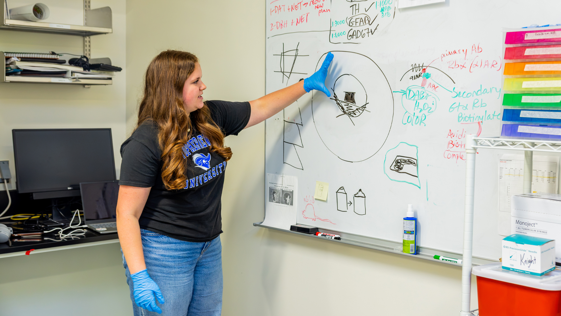 A student stands in front of a whiteboard with shorthand science terms and illustrations on it.