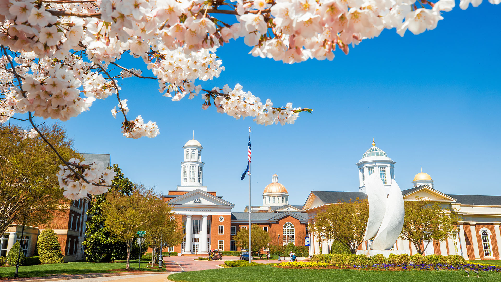 The entrance of Christopher Newport University framed with cherry blossoms across the top.